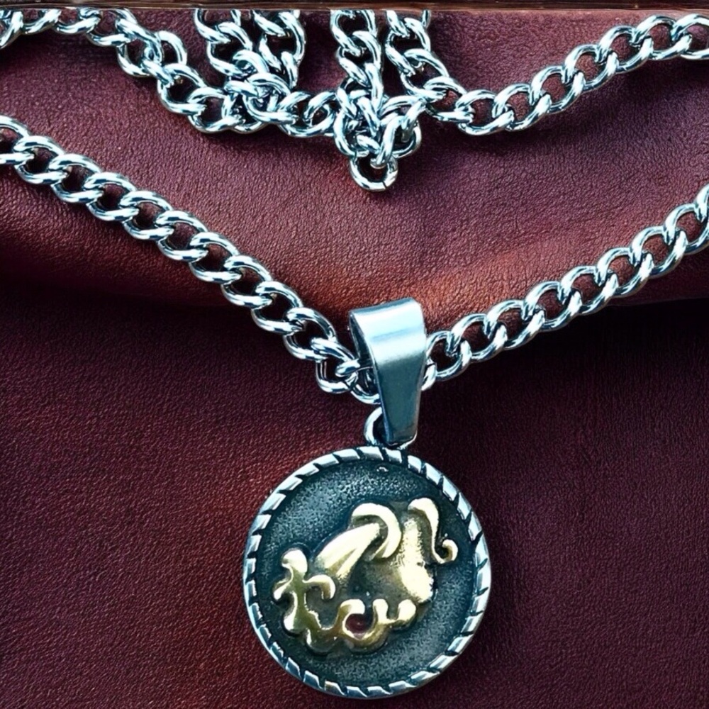 🆕 Aquarius Rustic Coin Pendant Necklace Stainless Steel